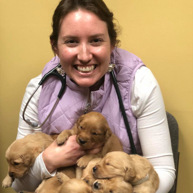 Careers Vet in Athens Limestone Veterinary Clinic